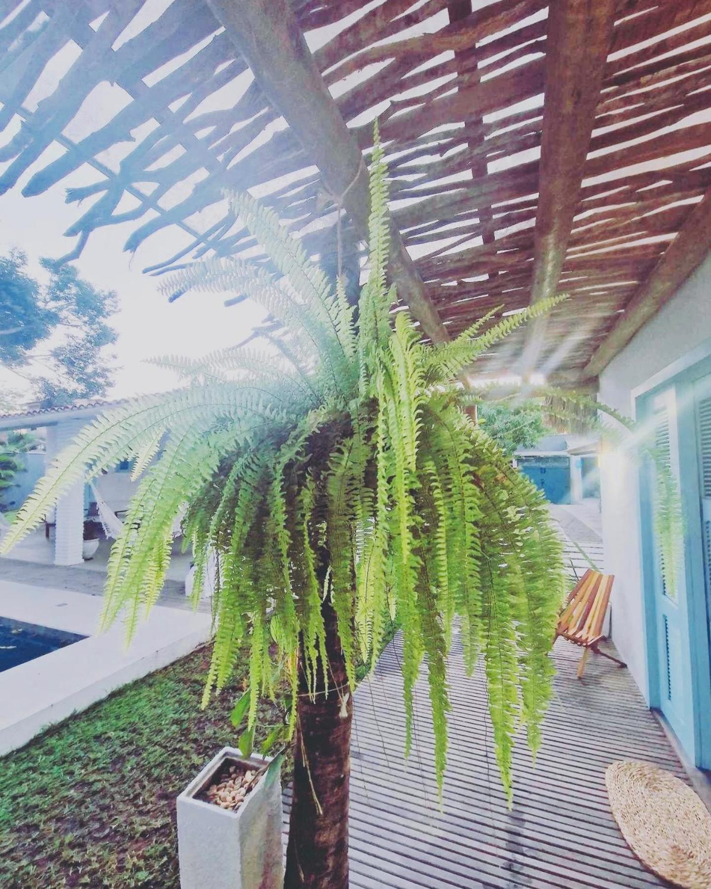 Villa Parazinho パラクル エクステリア 写真