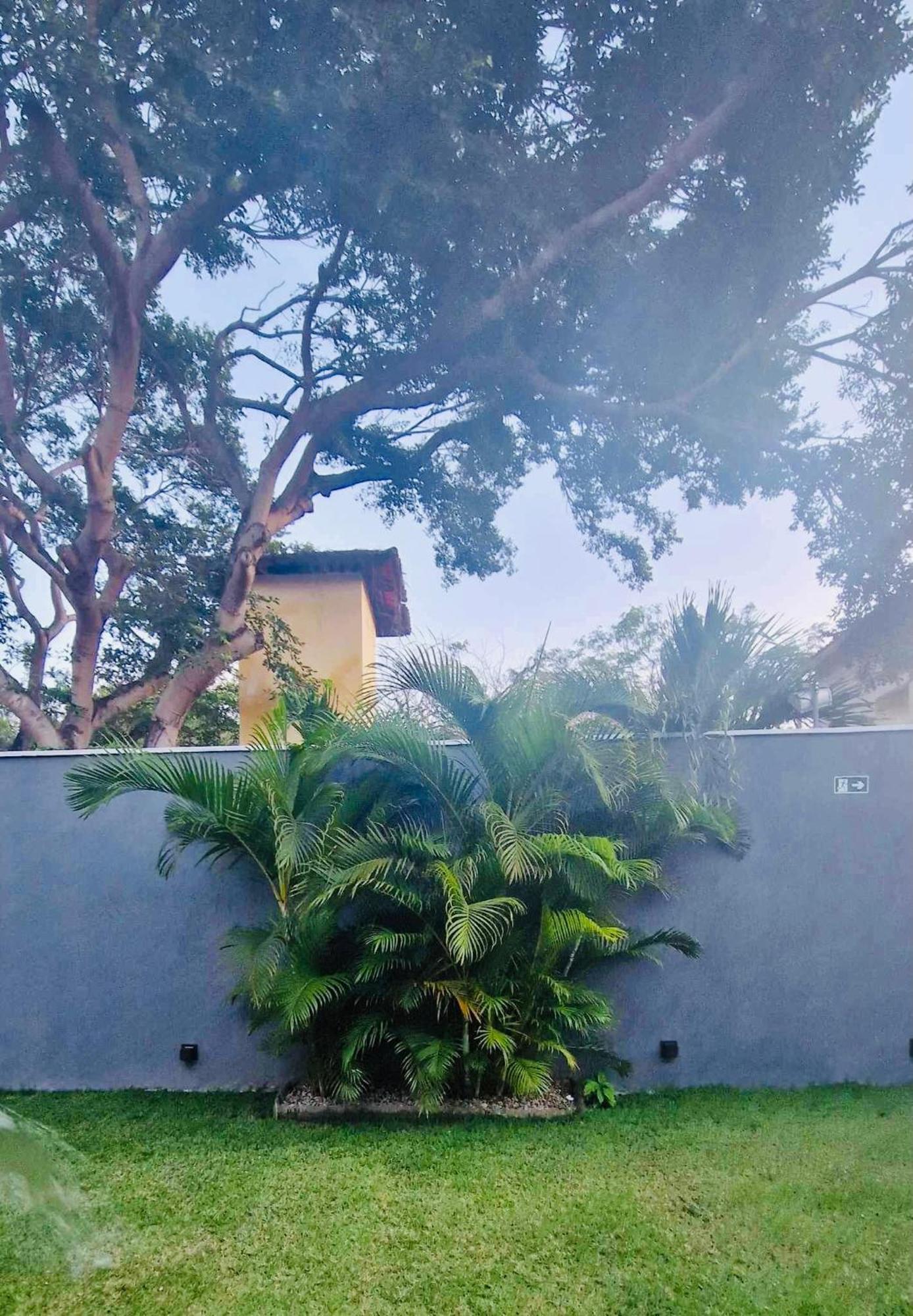 Villa Parazinho パラクル エクステリア 写真